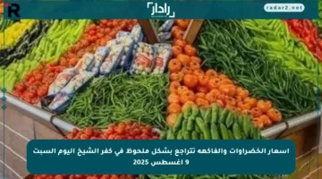 أسعار الخضراوات والفاكهة تتراجع بشكل ملحوظ في كفر الشيخ اليوم السبت 9 أغسطس 2025